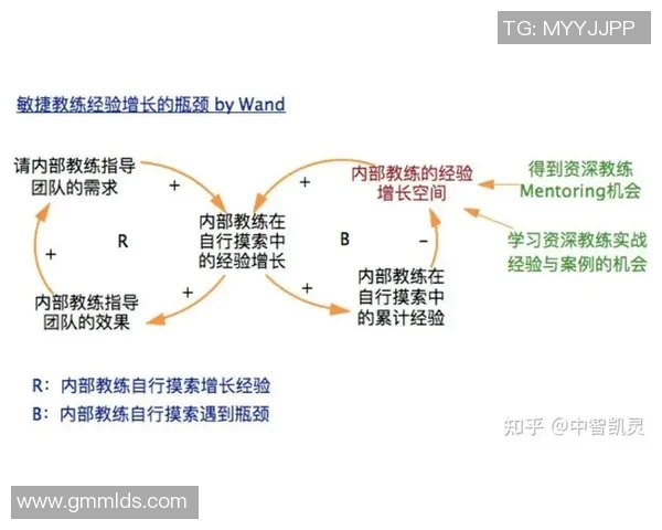 西安网球队快攻革新背后的战术思考与实践探索