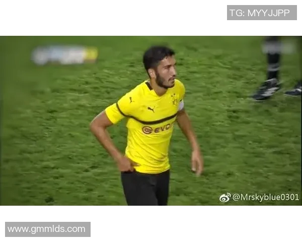 深圳足球明星阵容揭秘球场上的璀璨星光与激情对决