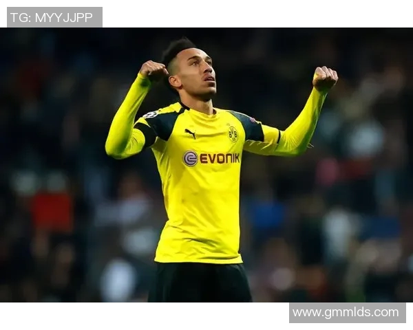 足球明星中谁的飞翔能力最强谁的鸟最大揭秘与比较