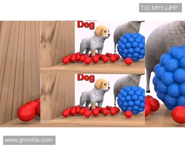 足球明星们的宠物生活揭秘他们都养了哪些可爱的动物伙伴