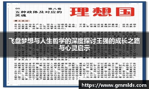 飞盘梦想与人生哲学的深度探讨王强的成长之路与心灵启示