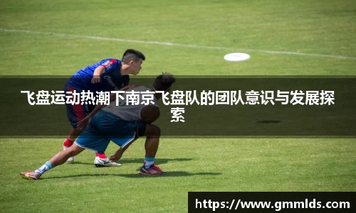 飞盘运动热潮下南京飞盘队的团队意识与发展探索